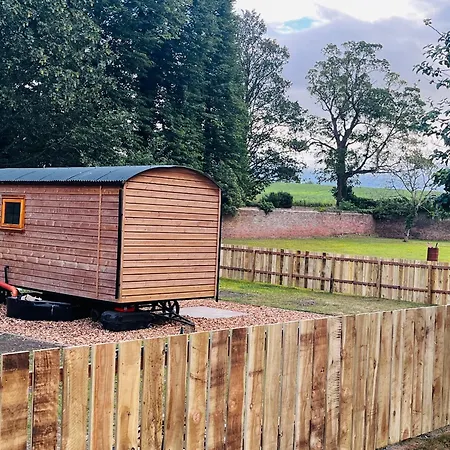 Kemp Hut In The Hall *