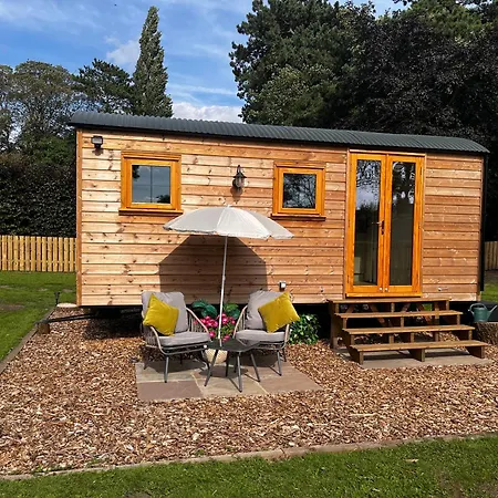 Hut In The Hall *